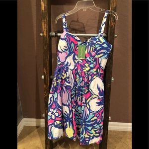 Lilly Pulitzer Christine Dress New